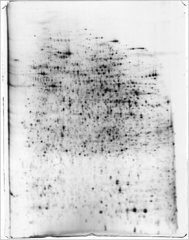 2DE mit MS kompatibeler FireSilver Silberf&auml;rbung